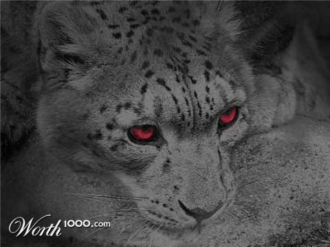 Photoshop Design by makexmexfree