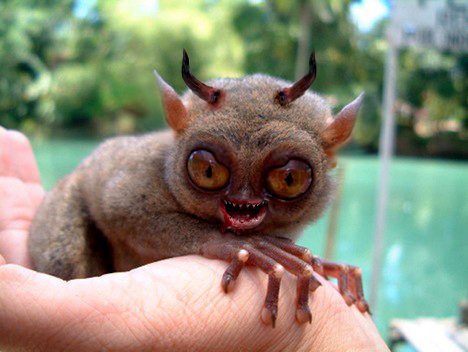 Design Photoshop par politikk2007 pour DesignCrowd (Community Contests) | Design #8978395