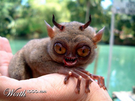 Photoshop Design by politikk2007