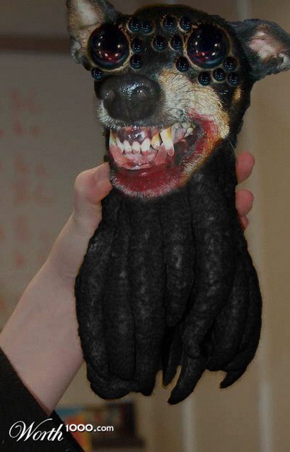 Photoshop Design by amywho