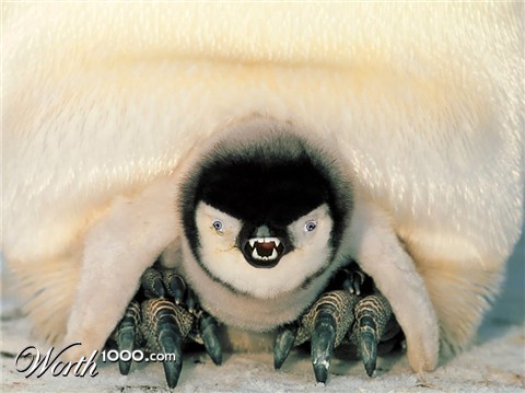 Photoshop Design by amywho