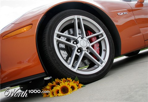 Photography by pinkfly