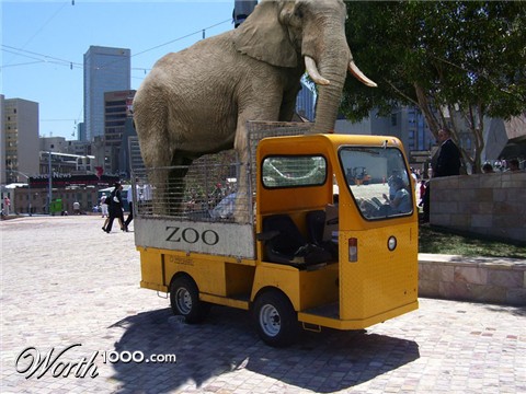 Photoshop Design by anthropomorphic