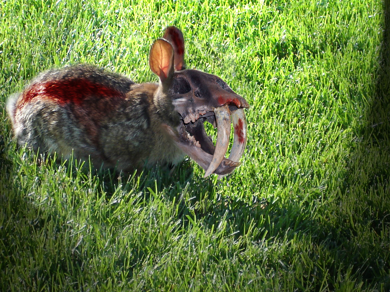 Photoshop Design by mosezmo for DesignCrowd (Community Contests) | Design #8978411