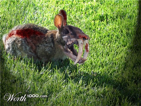 Photoshop Design by mosezmo