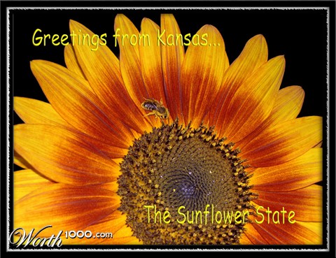 Photography by blueberr59