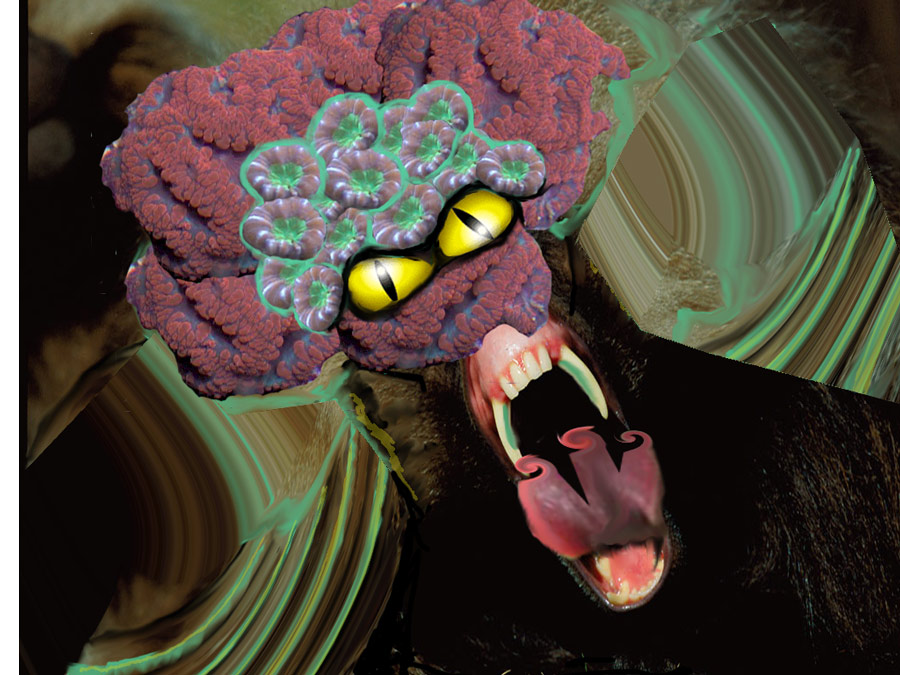 Design Photoshop par totallyartistic pour DesignCrowd (Community Contests) | Design #8978387