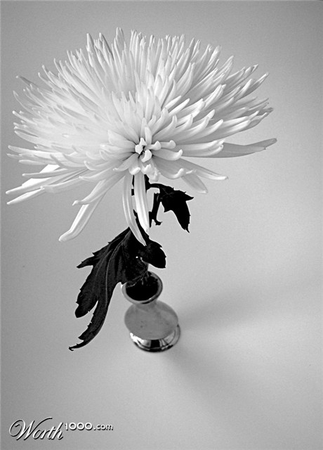 Photography by SallySmyth