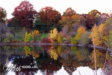 Photography by sculptor999