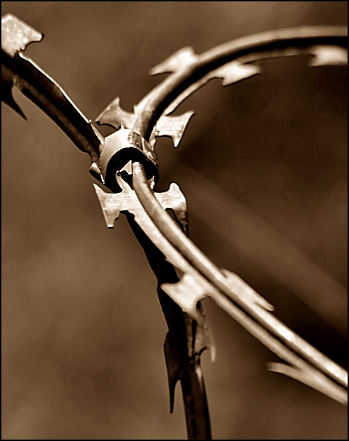 Photography by Juicer for DesignCrowd (Community Contests) | Design #8976323