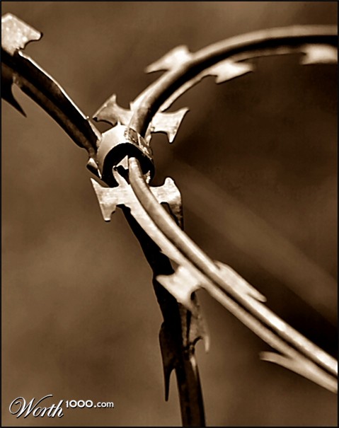 Photography by Juicer