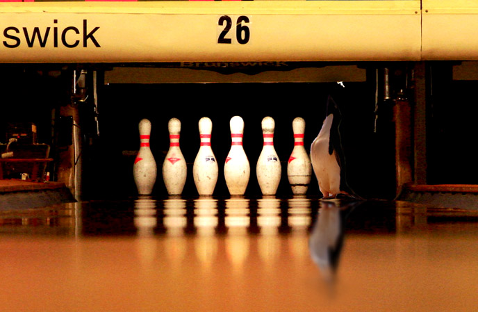 Photoshop Design by harveyy for DesignCrowd (Community Contests) | Design #8977829