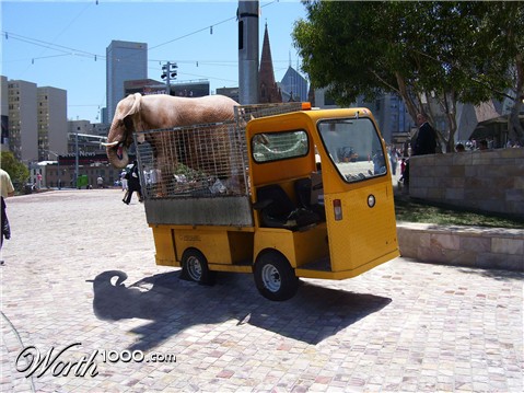 Photoshop Design by shpongle