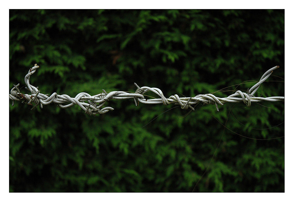 Fotografía por doctorD para DesignCrowd (Community Contests) | Diseño #8976327