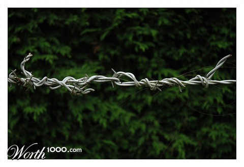 Photography by doctorD