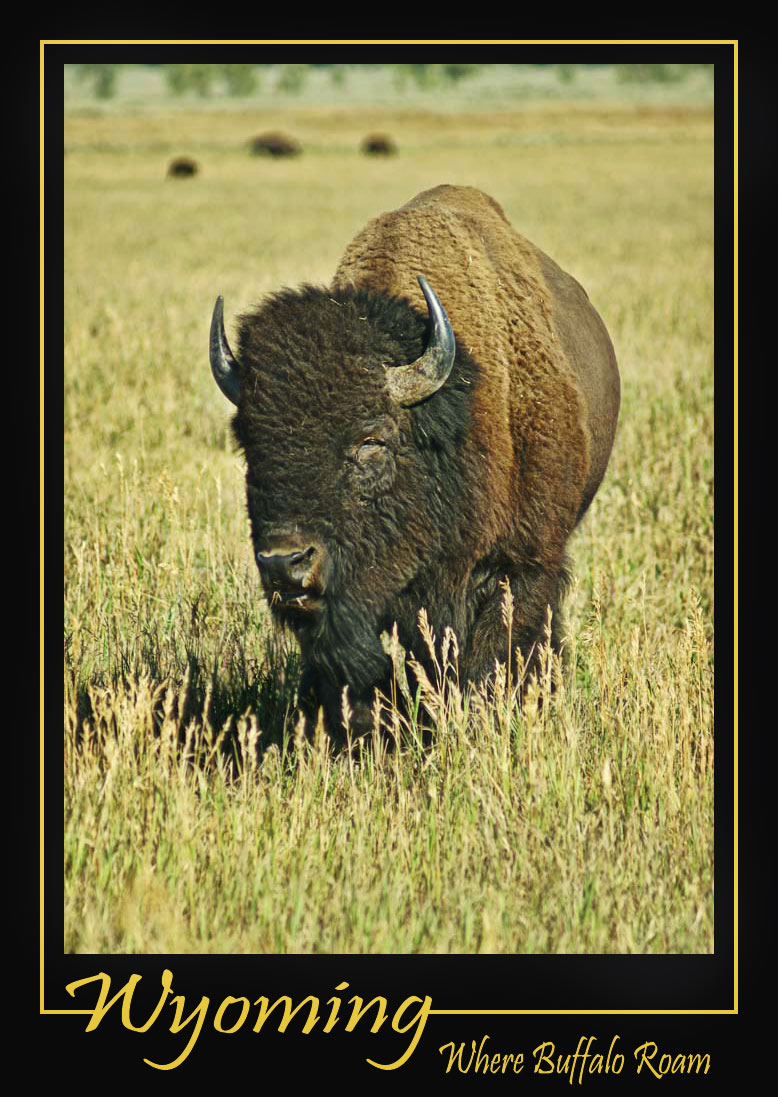 Photography by cakeladybarb for DesignCrowd (Community Contests) | Design #8978214