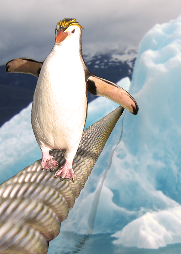 Photoshop Design by phischer for DesignCrowd (Community Contests) | Design #8977957