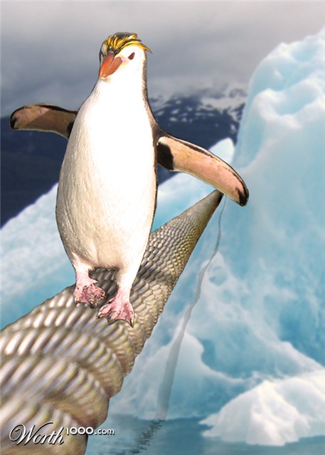 Photoshop Design by phischer