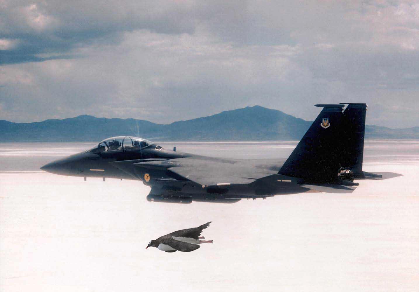 Photoshop Design by electron18 for DesignCrowd (Community Contests) | Design #8977940