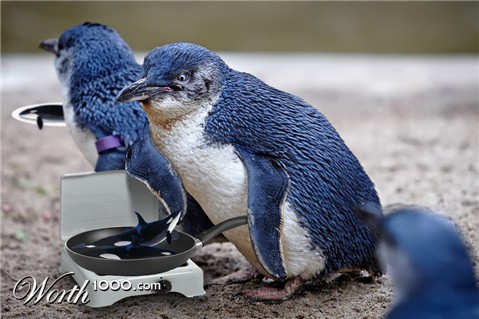 Photoshop Design by bicyclewilli