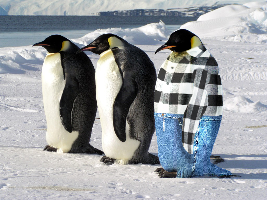 Photoshop-Design von Ephoto für DesignCrowd (Community Contests) | Design #8978042