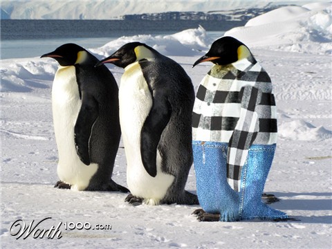 Photoshop Design by Ephoto