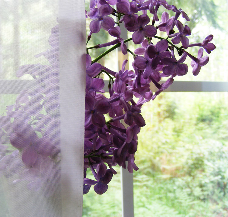 Photographie par Feature pour DesignCrowd (Community Contests) | Design #8977138