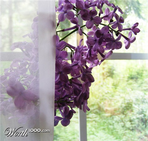 Photography by Feature