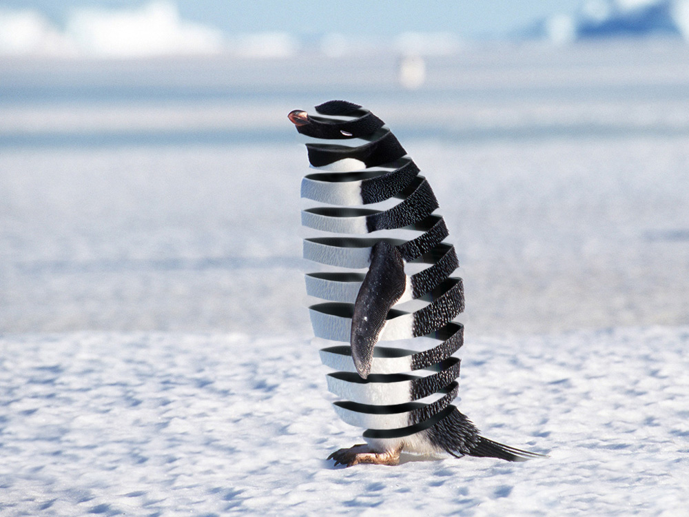 Photoshop Design by brypro63 for DesignCrowd (Community Contests) | Design #8977921