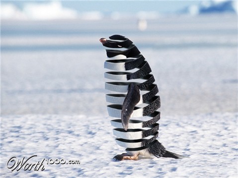 Photoshop Design by brypro63