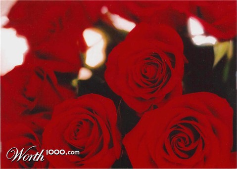 Photography by photog101