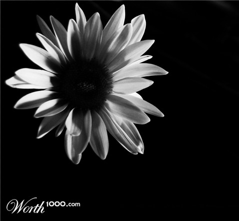 Photography by AgentSeta