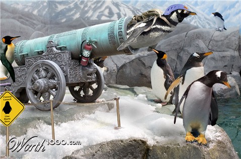 Photoshop Design by Mushon