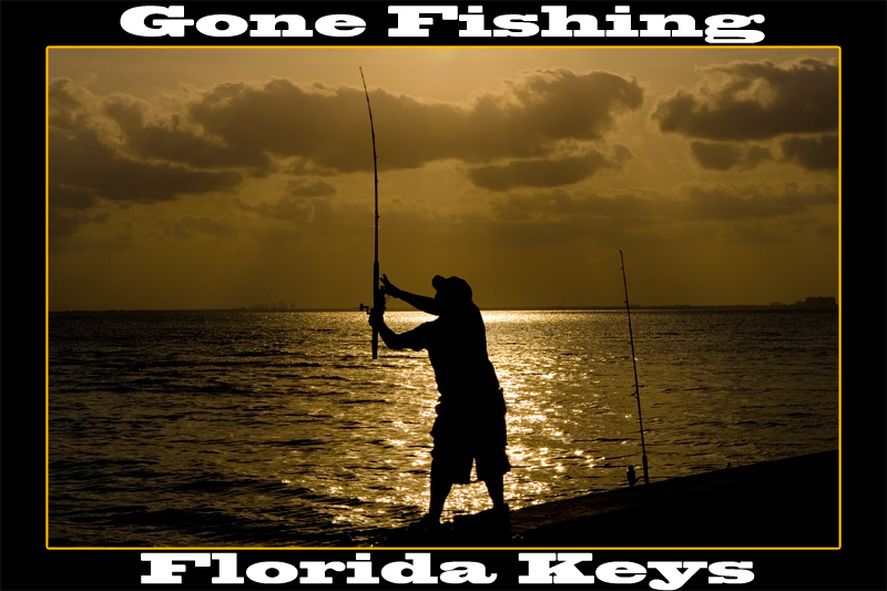 Photography by DozerLYP for DesignCrowd (Community Contests) | Design #8978286