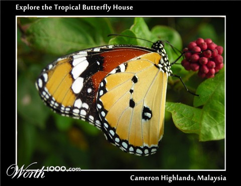 Photography by julianneovie