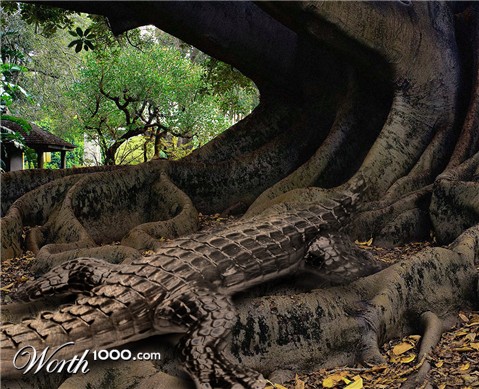 Photoshop Design by Gravity13