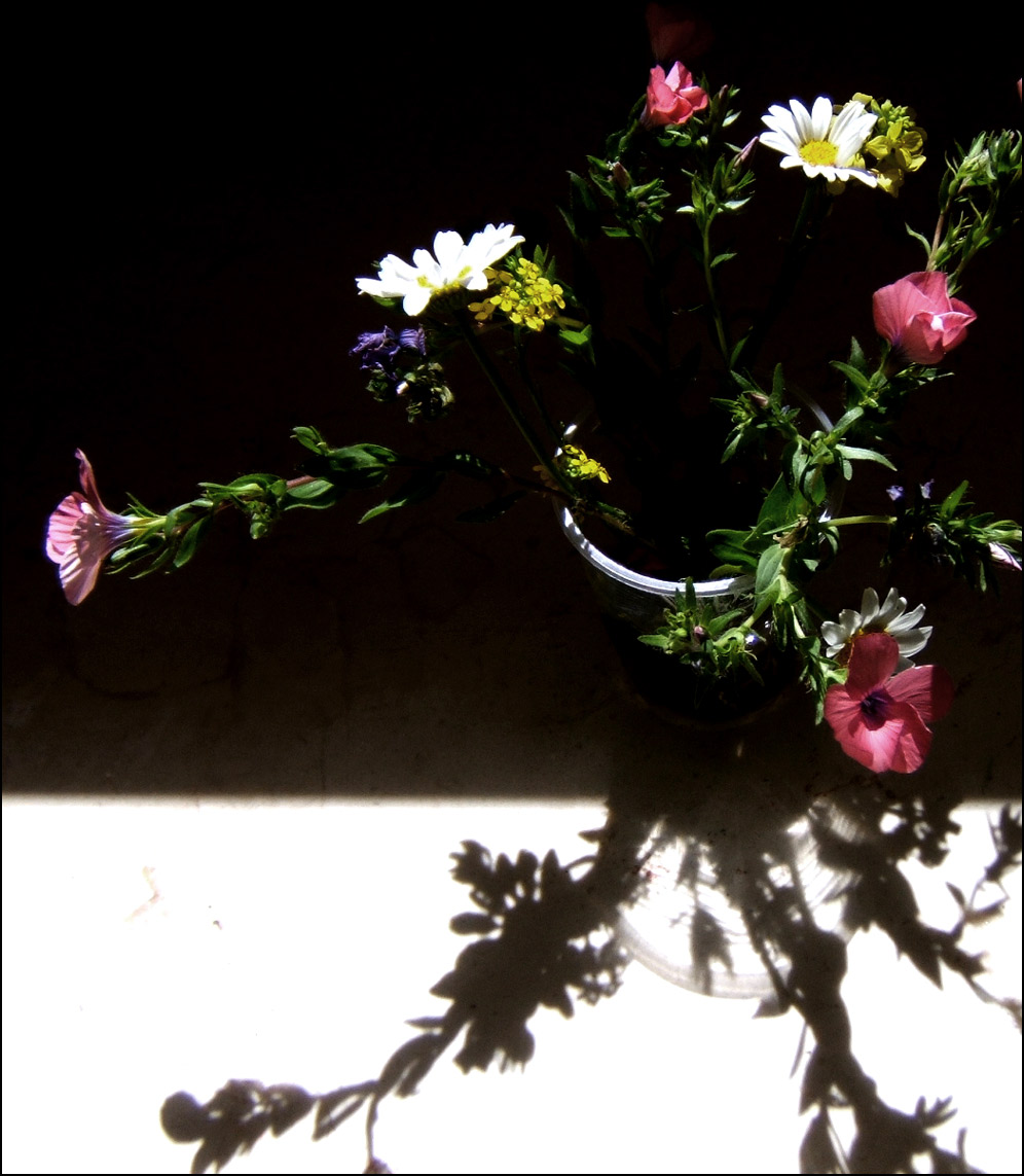 Fotografía por MammaBee para DesignCrowd (Community Contests) | Diseño #8977108