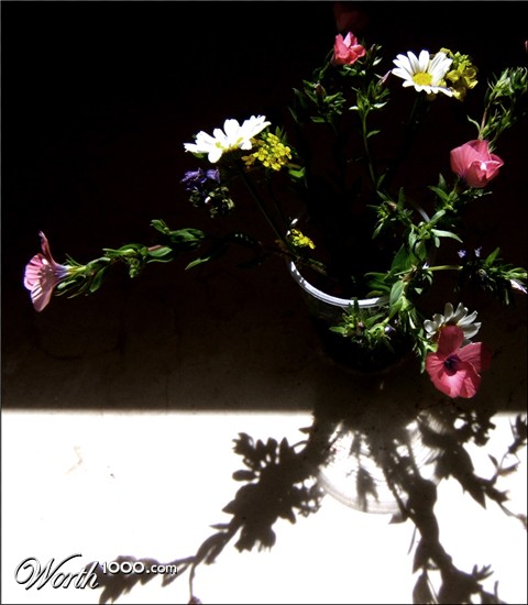 Photography by MammaBee