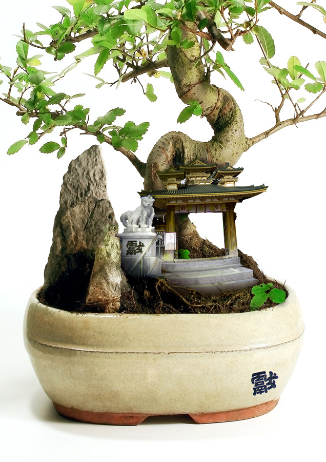 Photoshop-Design von willhowe für DesignCrowd (Community Contests) | Design #8977880