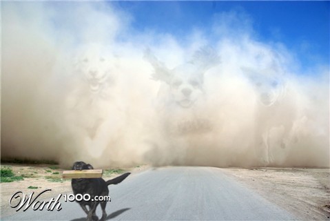 Photoshop Design by TransmissionDump