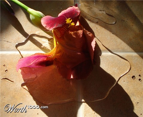Photography by Kreative