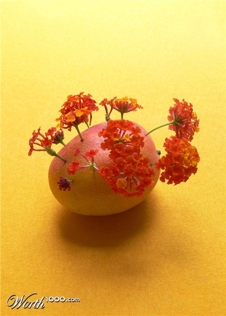 Photography by sausirhi