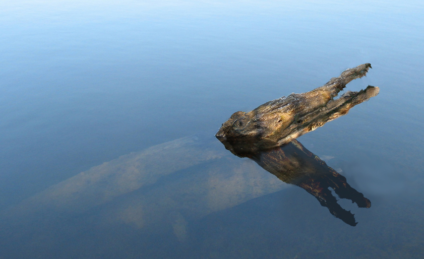 Diseño de Photoshop por shazzcat para DesignCrowd (Community Contests) | Diseño #8984345