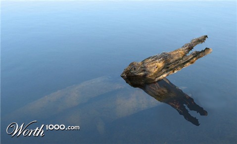 Photoshop Design by shazzcat