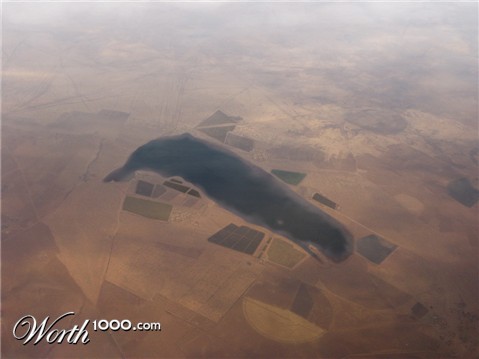 Photoshop Design by biutifool