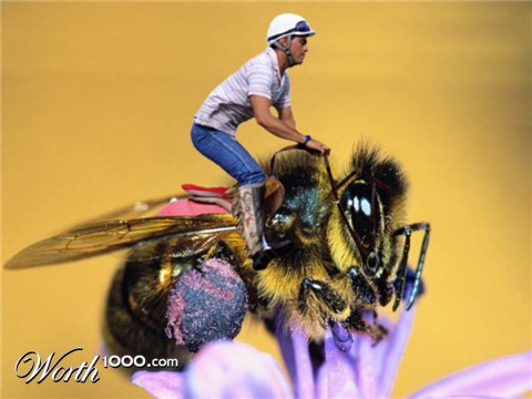 Photoshop Design by angelohoutos