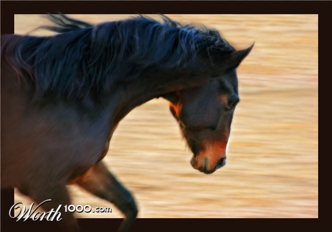 Photography by studiofritz