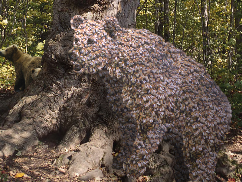 Photoshop Design by bicyclewilli for DesignCrowd (Community Contests) | Design #8984489