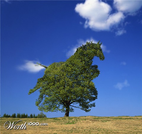 Photoshop Design by sugarcane