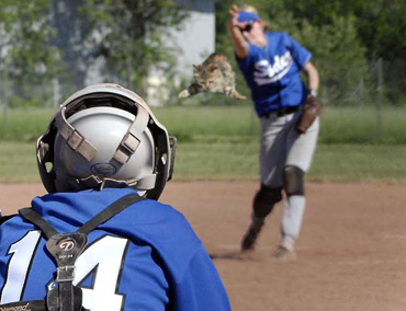 Diseño de Photoshop por Petrushall para DesignCrowd (Community Contests) | Diseño #8979290